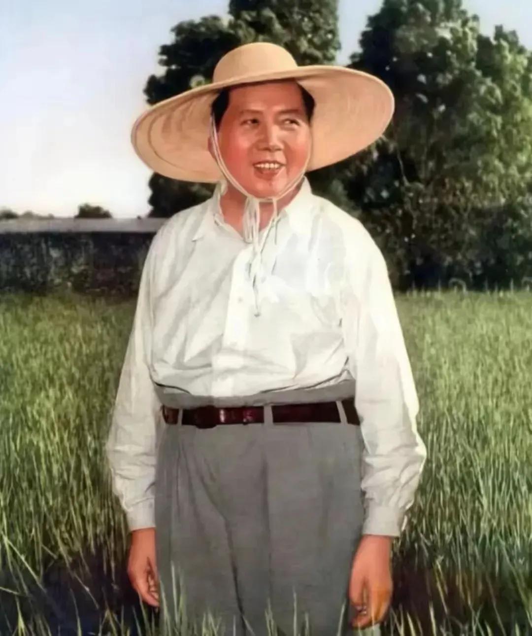 小锅菜香1958年北戴河会议后，毛主席到河南视察，毛主席反复问