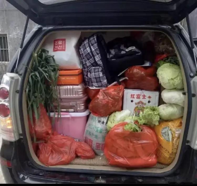 谁能想到，一个普通打工仔的后备箱，装下了千万中国人的年。正月初七，高速服务