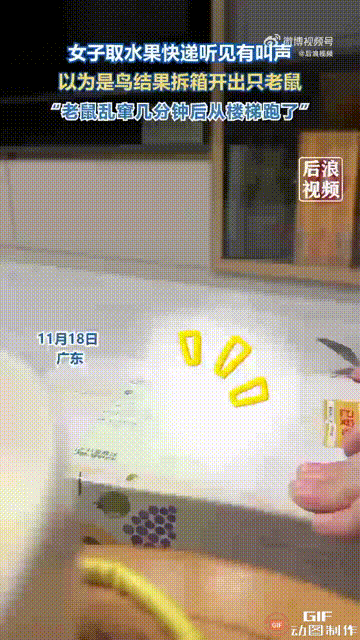 广东一名女子网购了一箱水果，把快递取回家时，她听见箱子里传出了鸟叫的声音，于是她