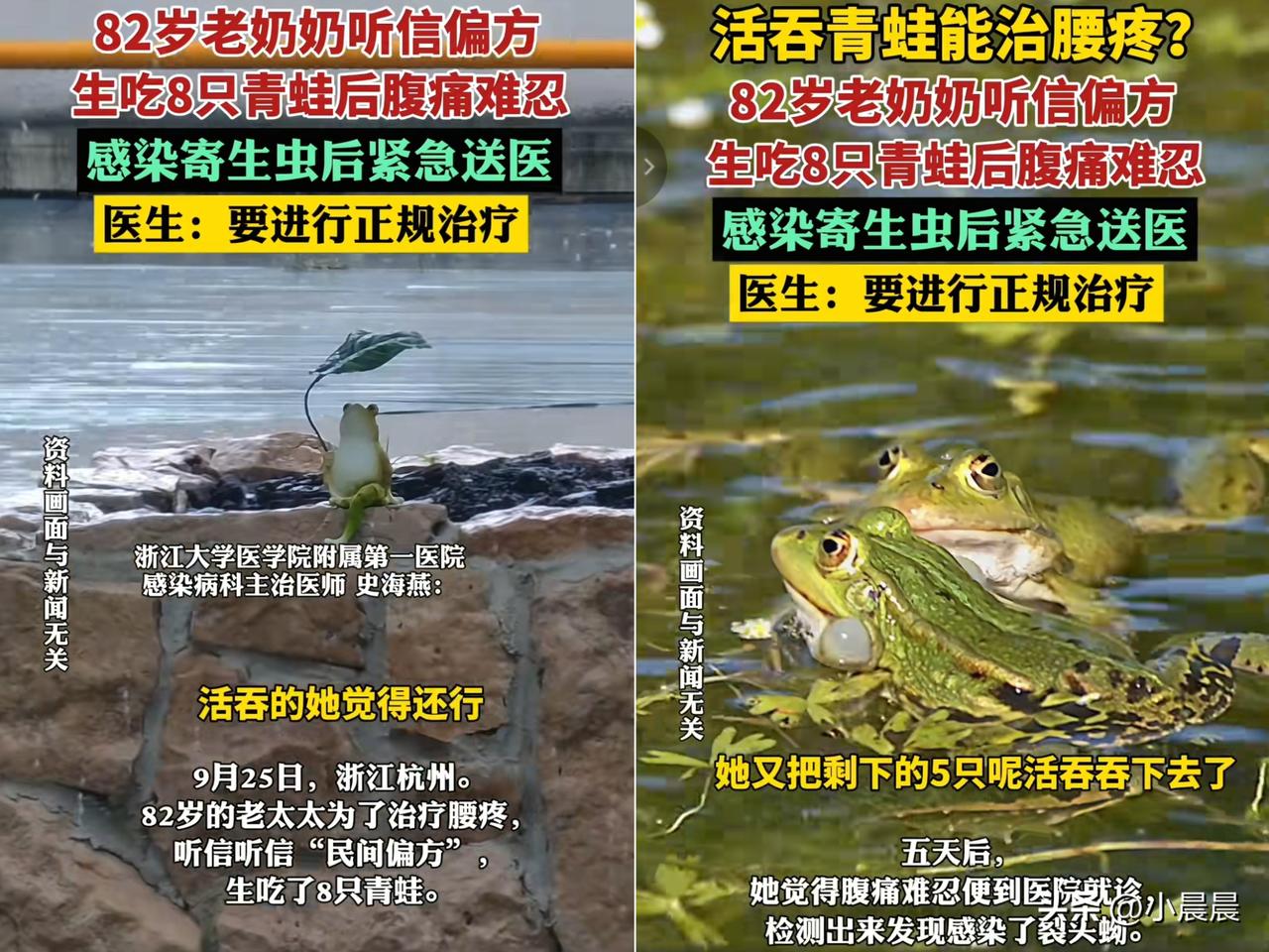 又是一个狠人！谁能想到杭州82岁阿婆为治腰疼，竟蹲在池塘边捉了8只青蛙
