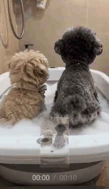 哎呀妈呀，这味儿太冲了！又是你的“杰作”吧！