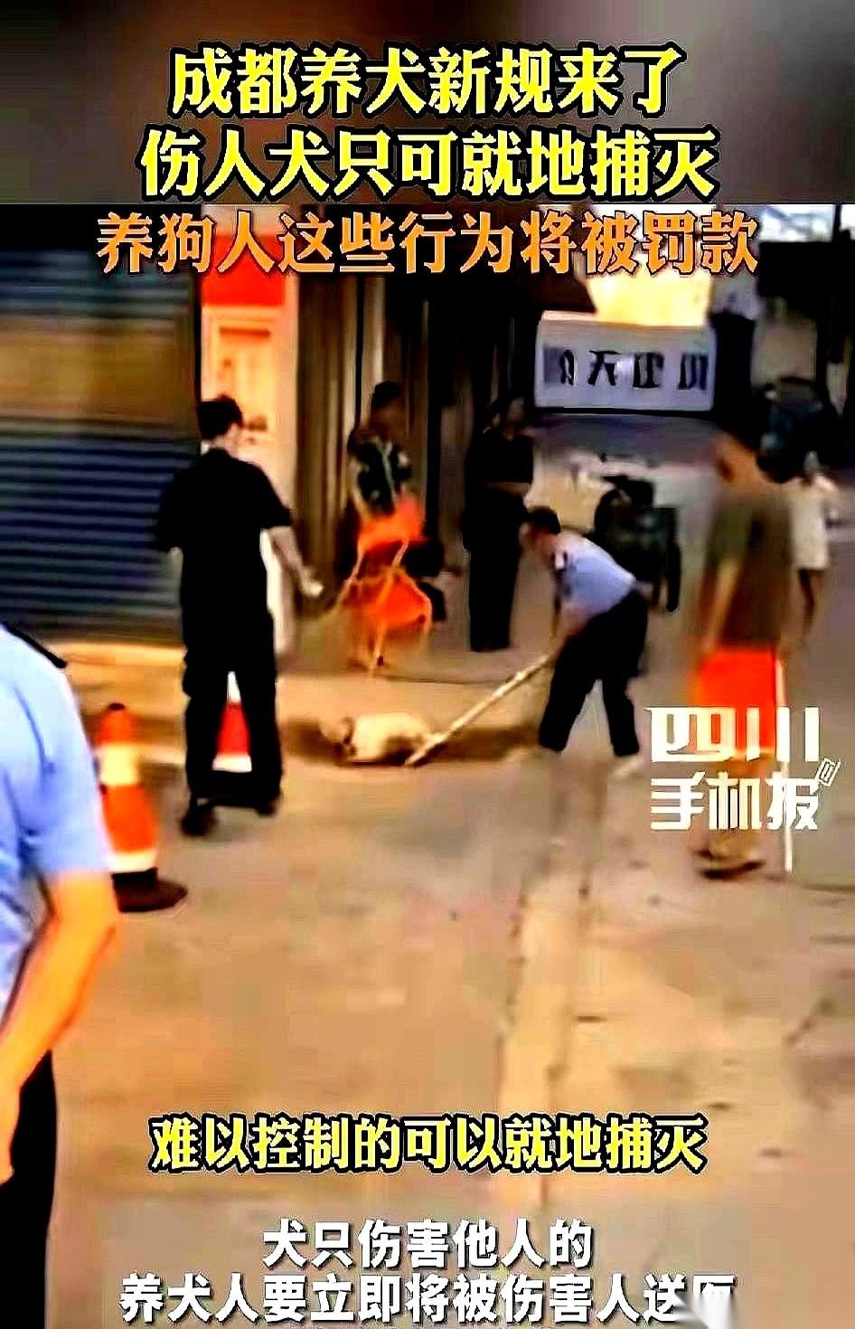 成都这回，直接把桌子掀了。新规八月一号落地，第一条就直奔要害：你的狗，只要咬了