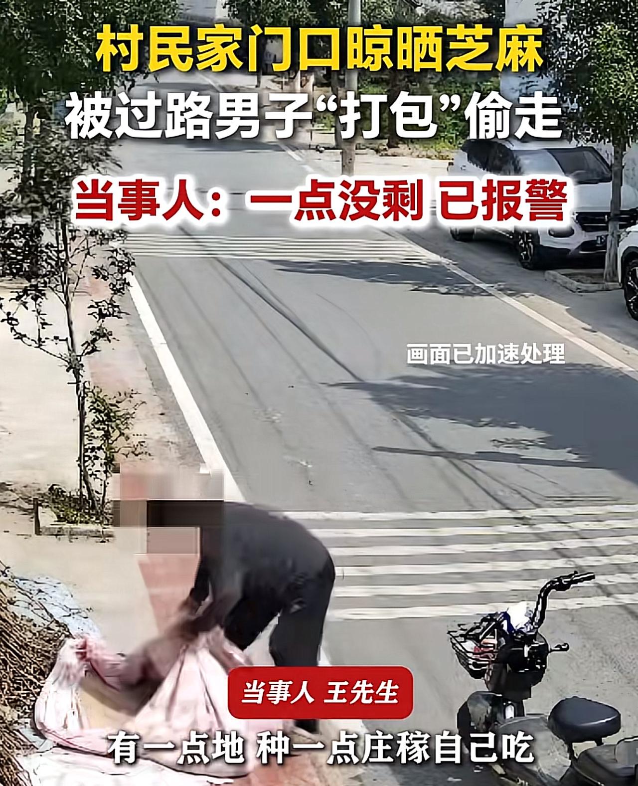 河南周口，男子辛辛苦苦种的芝麻，放在自家门口晾晒。万万想不到，一外来人员骑电动车
