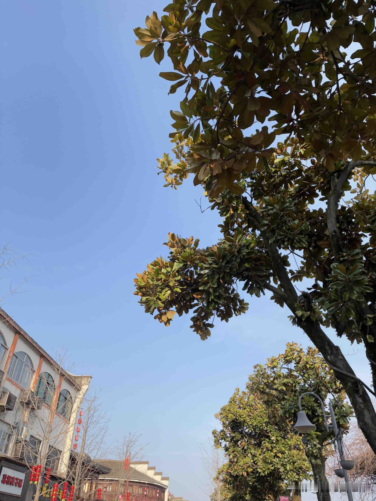 我弟弟生意赔钱了，弟媳妇闹着要离婚，说看不到未来，我弟弟把结婚六年的房子和存款孩