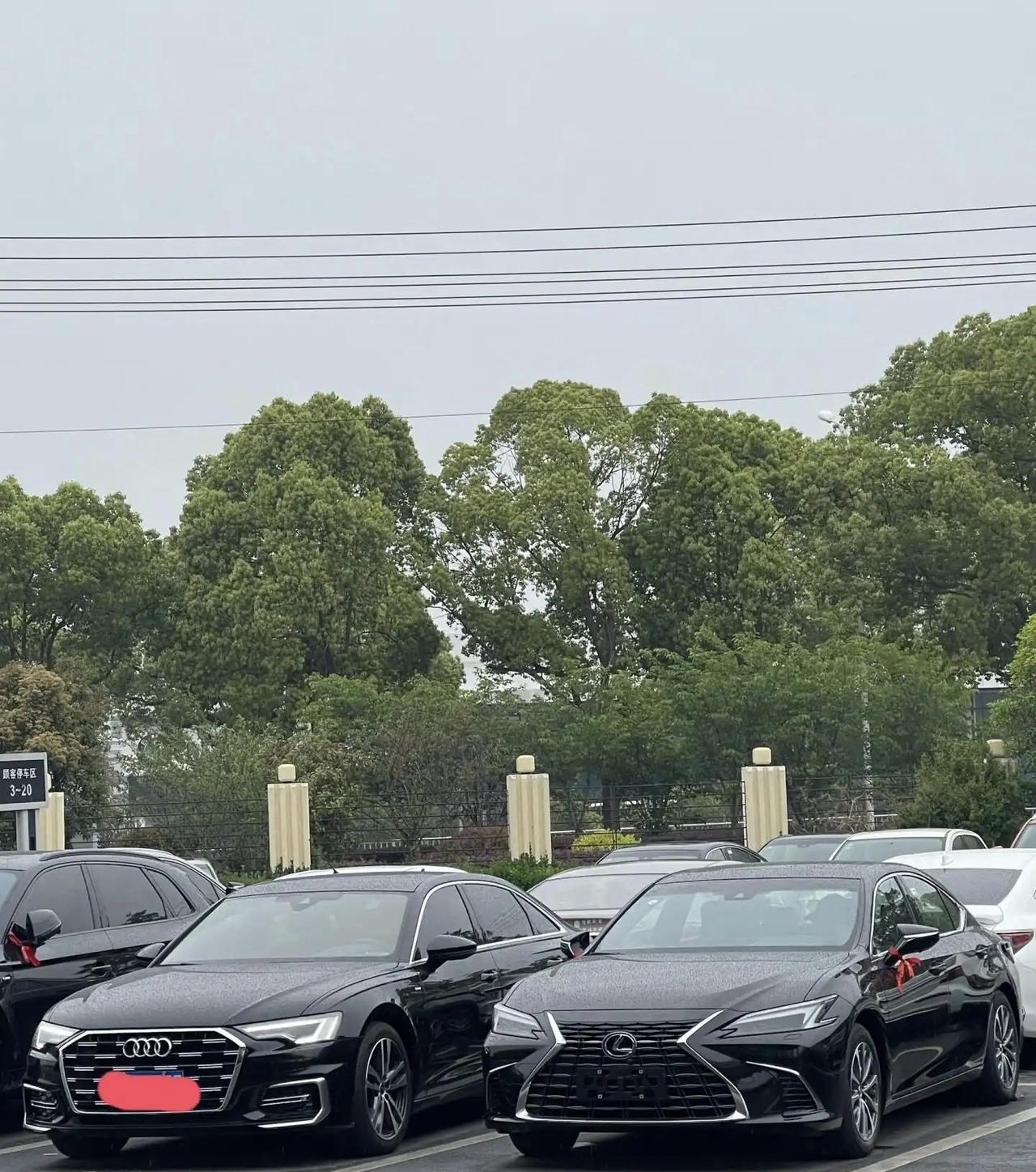 大家看看，雷克萨斯和奥迪同框对比图，这两个品牌现在哪个档次更高？图片是雷克萨斯E