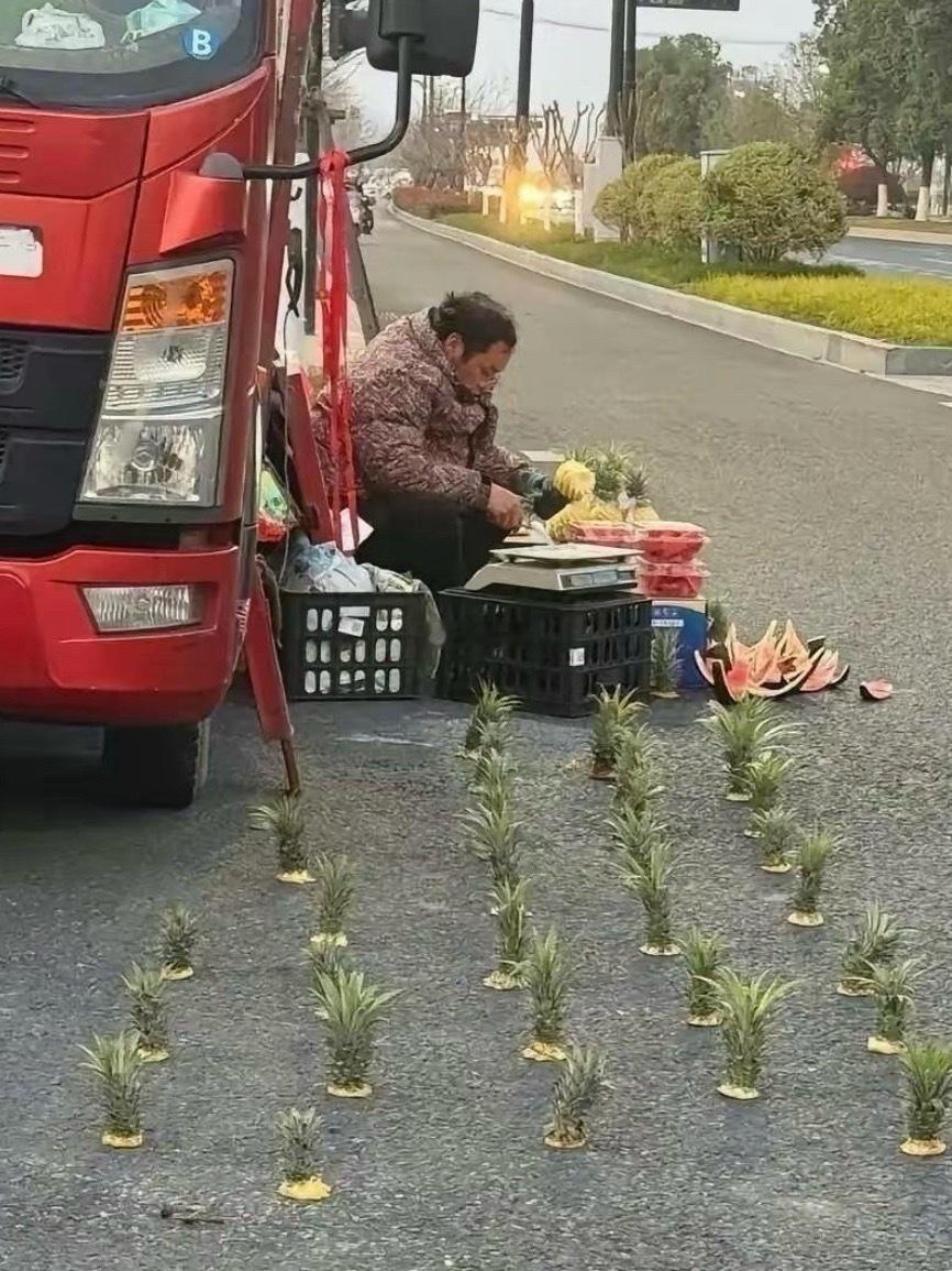 高手在民间！路边大爷摆摊卖菠萝，摆放方式直接看呆路人。一个个菠萝有序摆在地上，