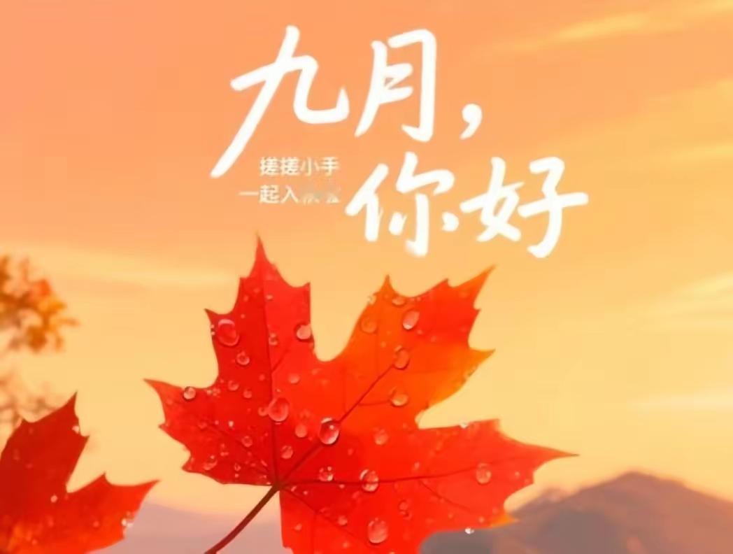 青岛夜经济的热点，烟火气曾多元融合绽放，看了你就想流连忘返微头条《原创》夜