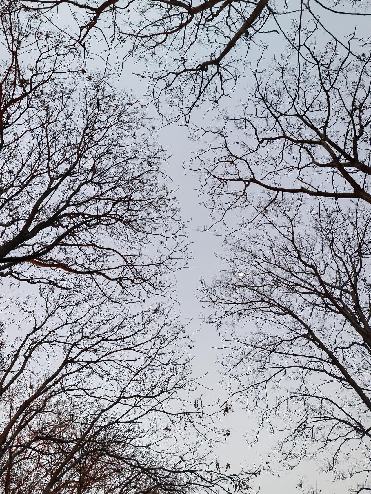 这两天老公公司放了一堆大米和油，他理所当然地以为是发给员工的年终礼品，一个劲地说