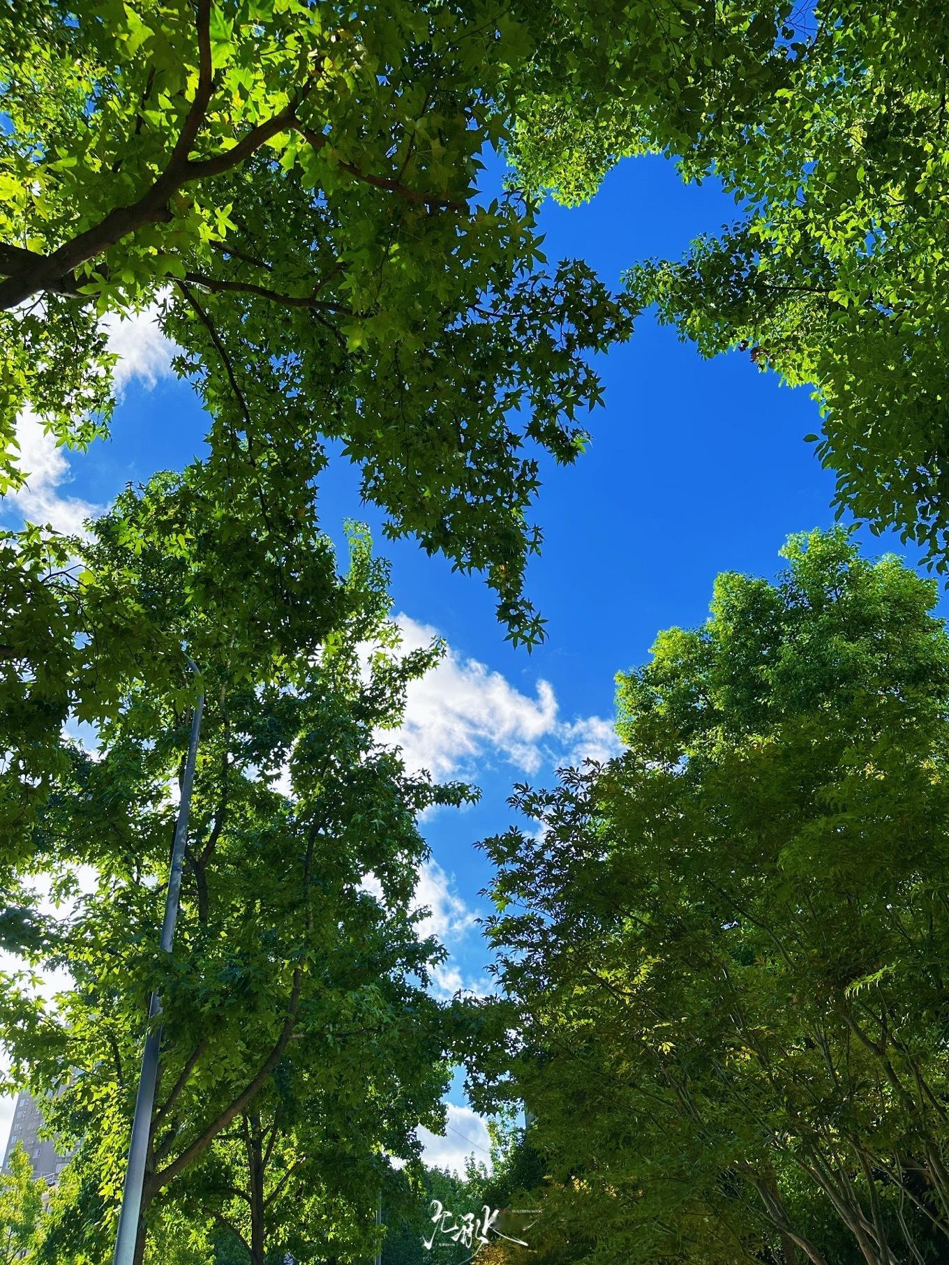以善良为师，得到的是正义和正直的教诲，即使步履平凡，也不失不俗的境界。善良使人的