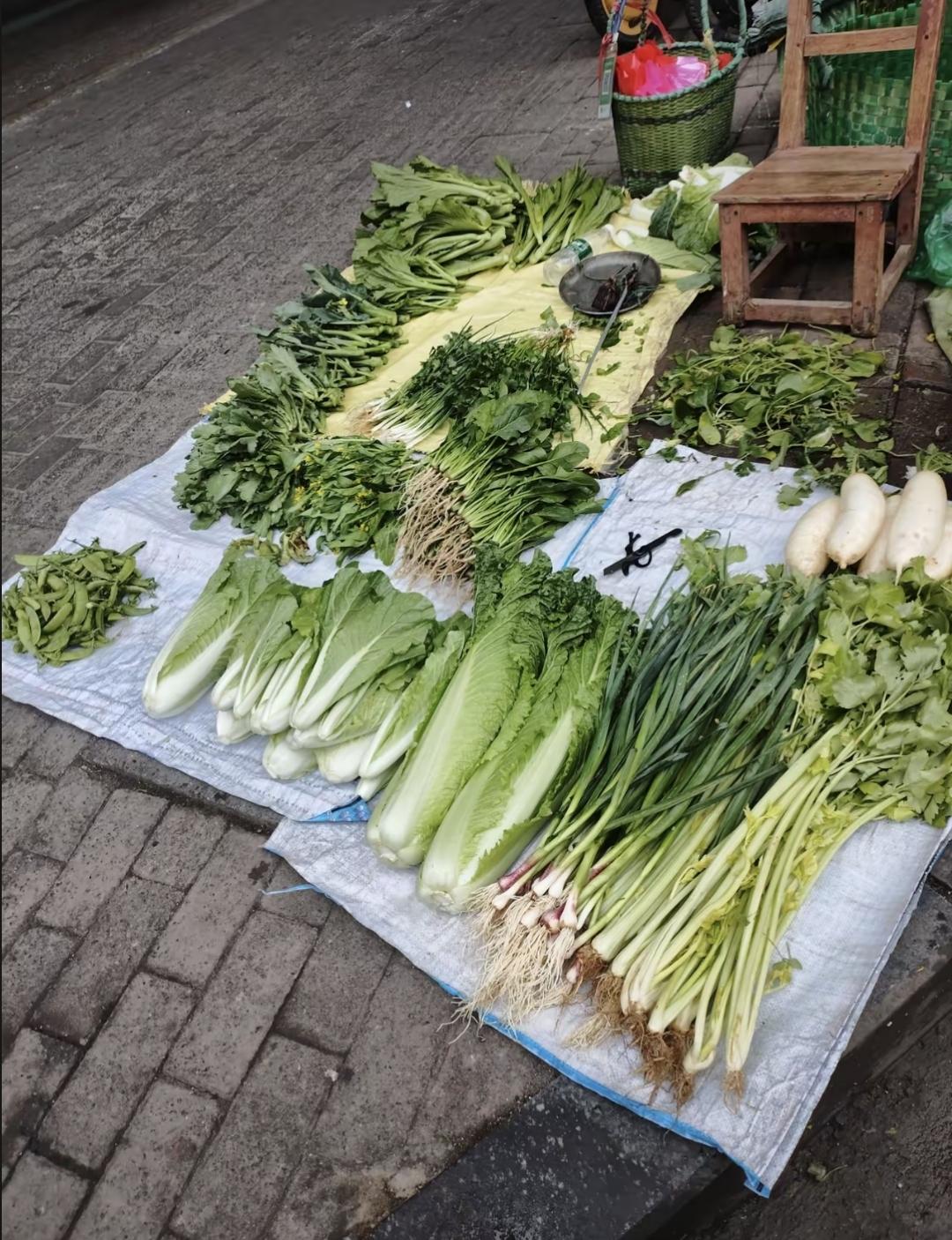 凌晨四点起床，进菜、摆摊、收摊，我姐忙了一天，就卖了21块钱。她说以为摆个摊