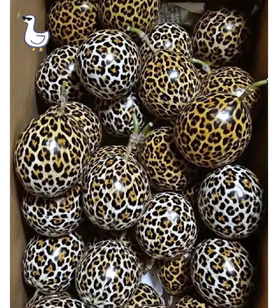 我滴个乖乖！一打开快递箱，差点没把我魂儿都吓飞了！嫁到山里的老同学说给我寄点