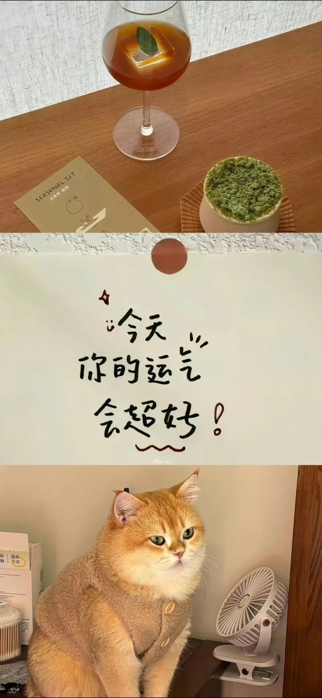 成年人不做选择，开心和发财我都要。