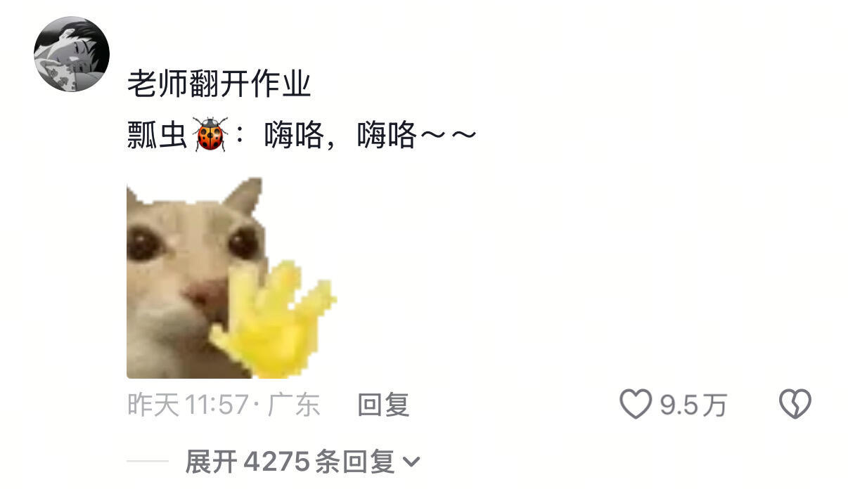 七星瓢虫：这下你满意了吗