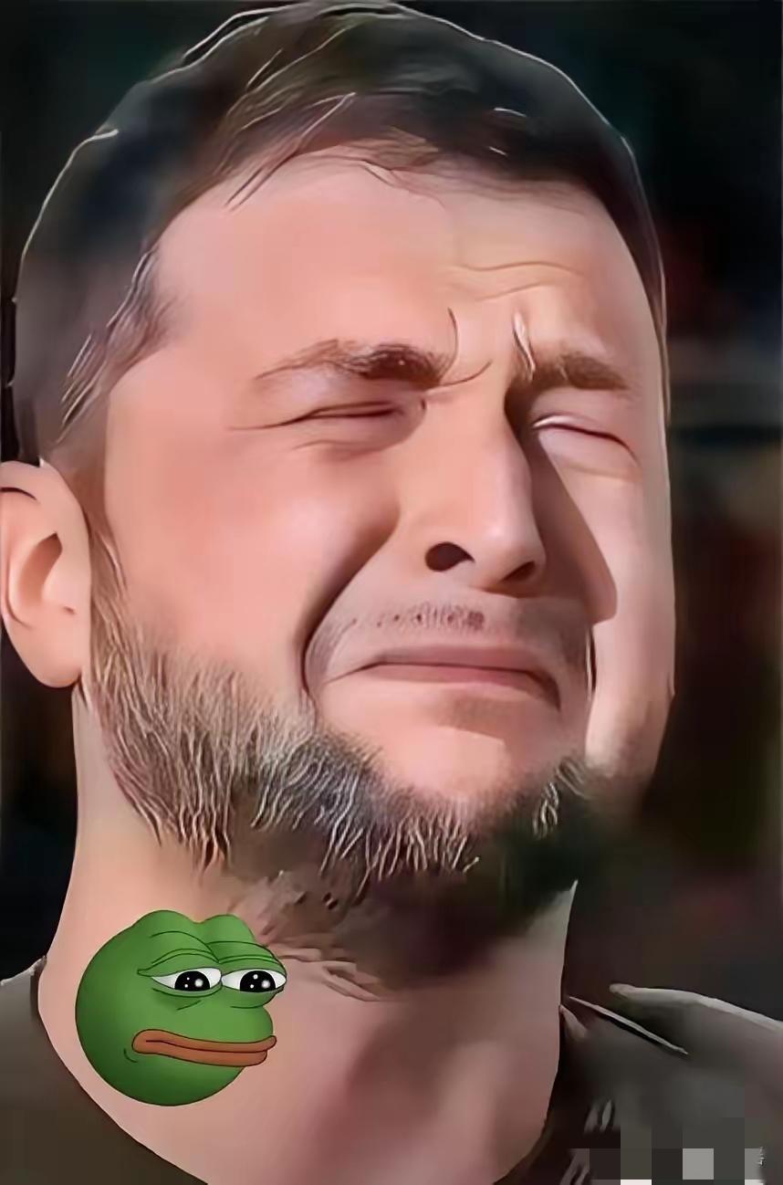 谈判结束，乌克兰公开宣称​当地时间12月25日，泽连斯基公开发文宣称，在当天，