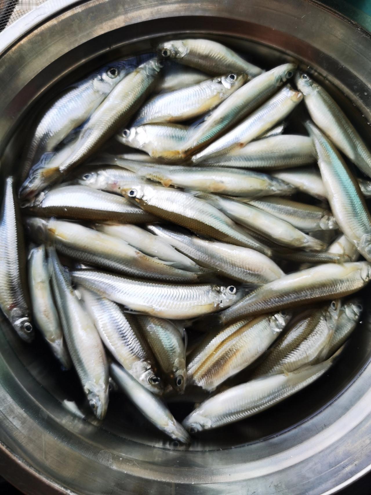 日常吃食不多了，黄瓜香鱼
