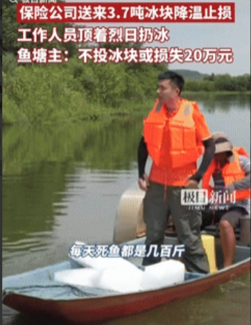 “这广告打得好！”湖北武汉，一男子养殖了120亩鱼塘，其中有32亩因高温天气，出