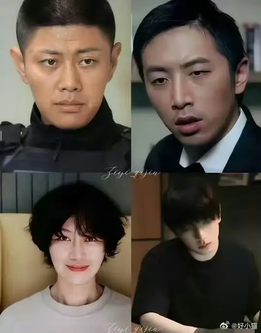 内娱改造最成功的两位男星