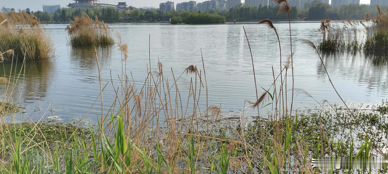 白天锻炼身体要有两大注意，或者说大原则。说之前一定要注意说得是白天这个前置条件