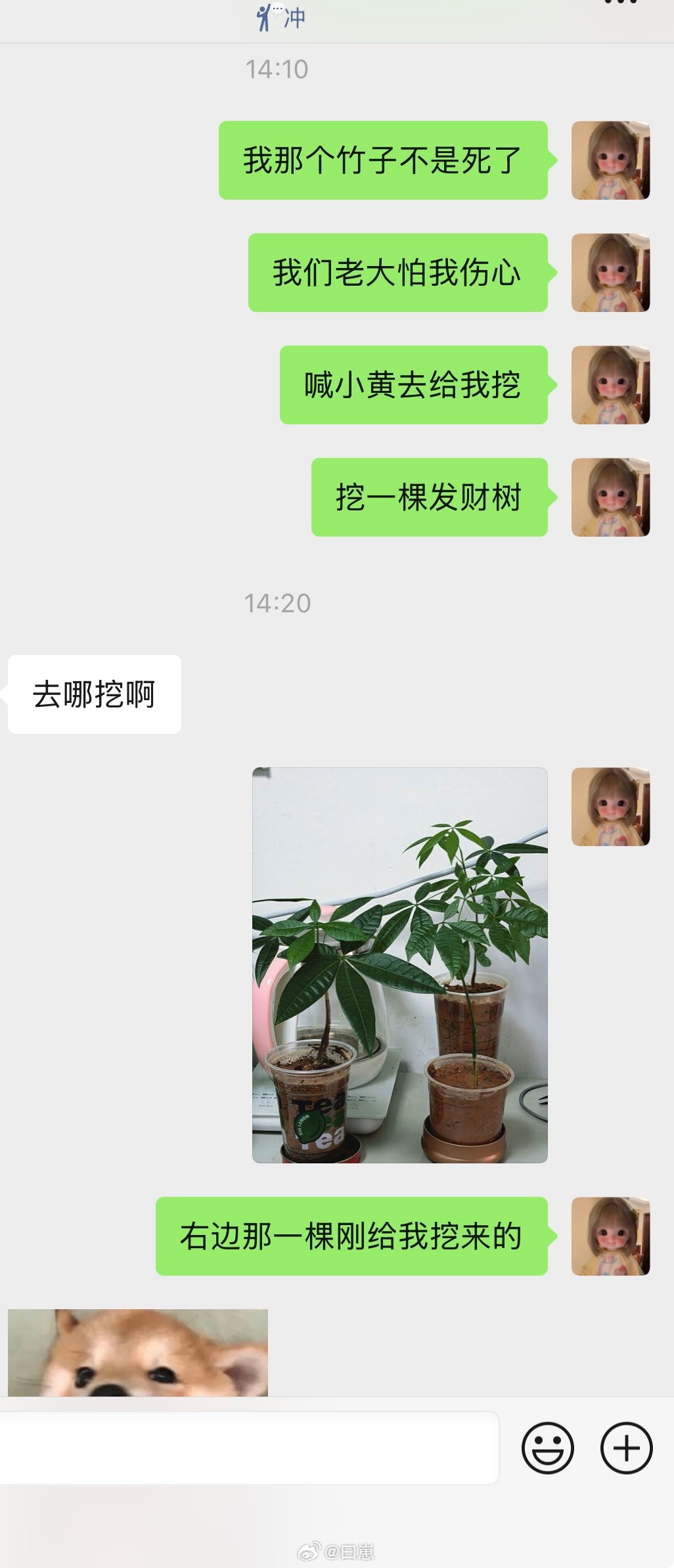 哦哟～​​​