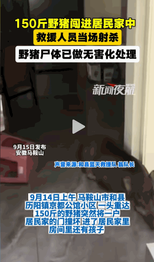 “太可怕了！”9月14日，安徽马鞍山，一男子正在家中休息，忽然听到门被撞开的声音