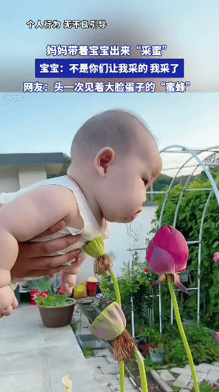 头一次见到这么大只的“蜜蜂”[捂脸哭]妈妈带娃“采蜜”名场面！小宝贝认真对