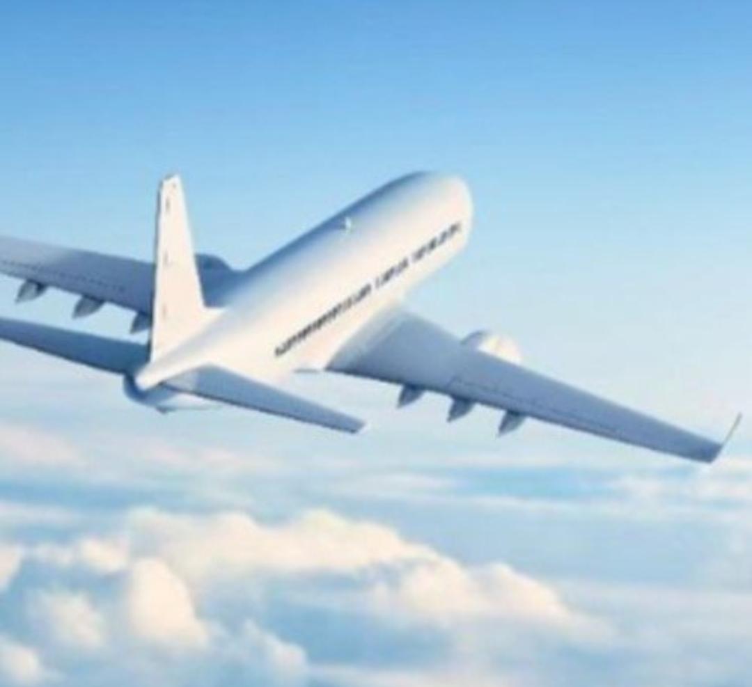 坐飞机邻座竟是一只萨摩耶！全程被萌化，网友：我也想要！家人们谁懂啊！坐飞机