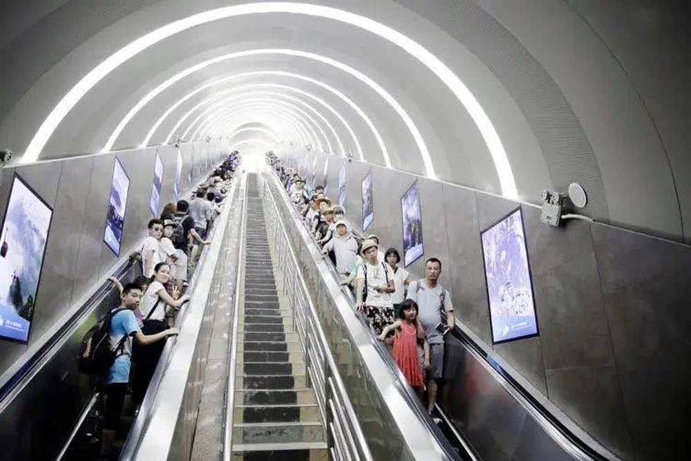 “窝囊旅游三件套”, 为什么让年轻人着迷?