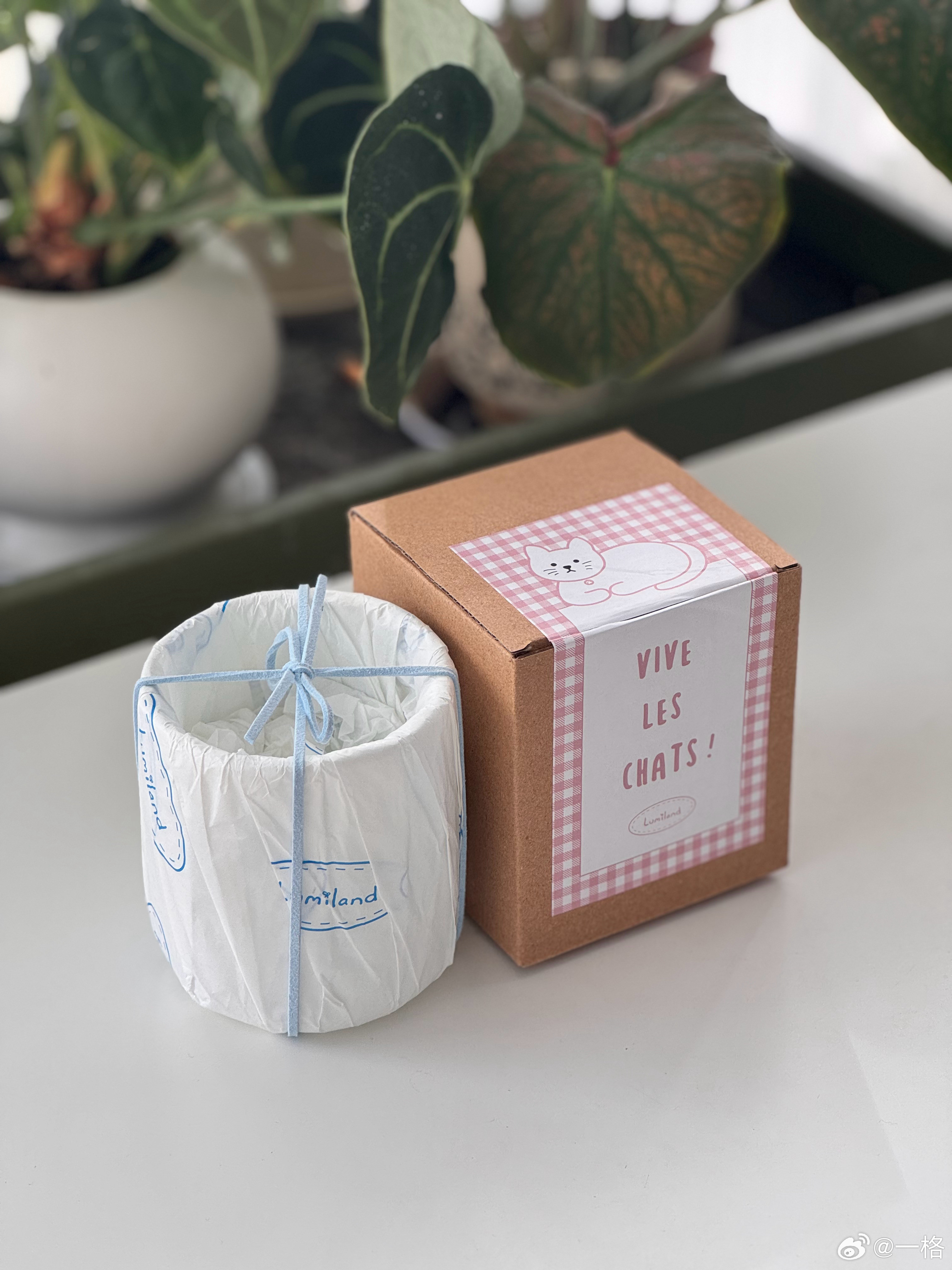 姐妹打包的好精致呀，已经用它喝上咖啡了，杯子上的小白跟我家白猪一毛一样，可爱哟[