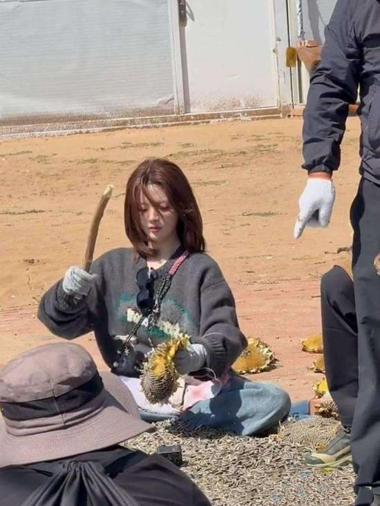 近日，杨超越下田打谷子的视频火了！她卷起裤腿，手持谷把，动作麻利又带劲，汗水浸湿