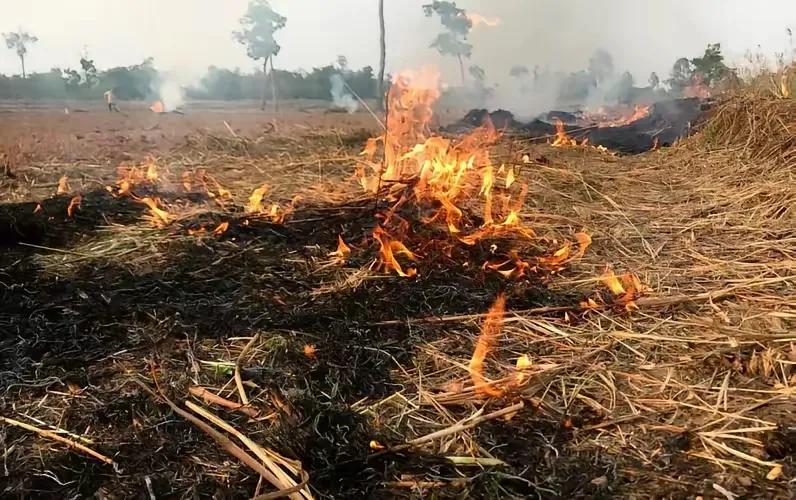 二月末的央视新闻访谈中，农业农村部负责人的一番表态引发社会热议。面对镜头，这位官