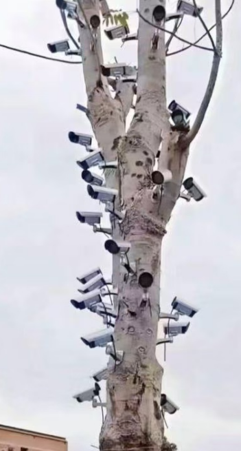 是千眼观音吗