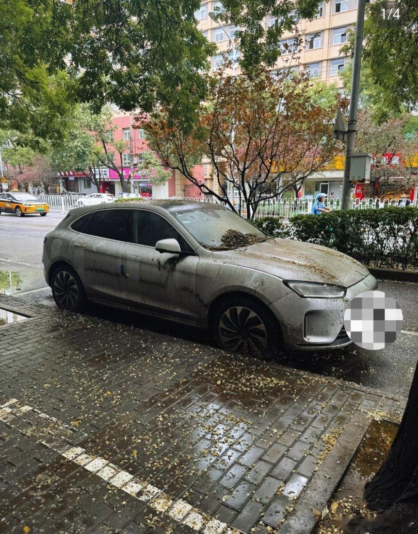 这车停了这么久，还有必要留着嘛[捂脸哭]​​​