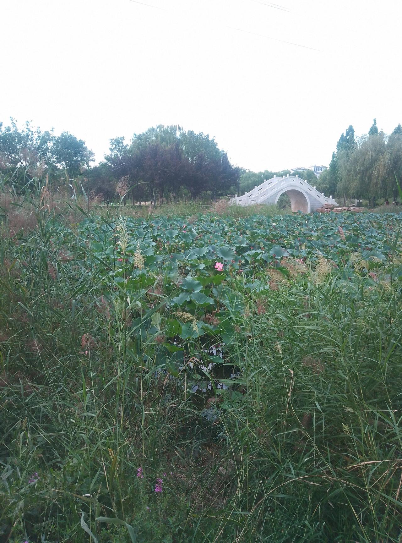 一个网友说：连长虽说属于营长管理，但退伍后到地方工作就不一样了。我们村就有一