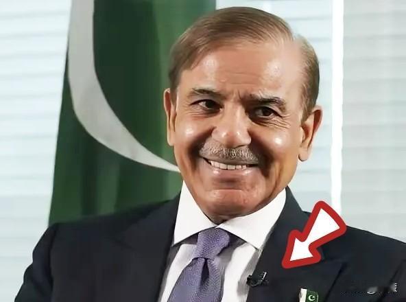 巴基斯坦以为捏住了中国的“七寸”，其实是在玩火自焚！很多人以为中国为了瓜达尔