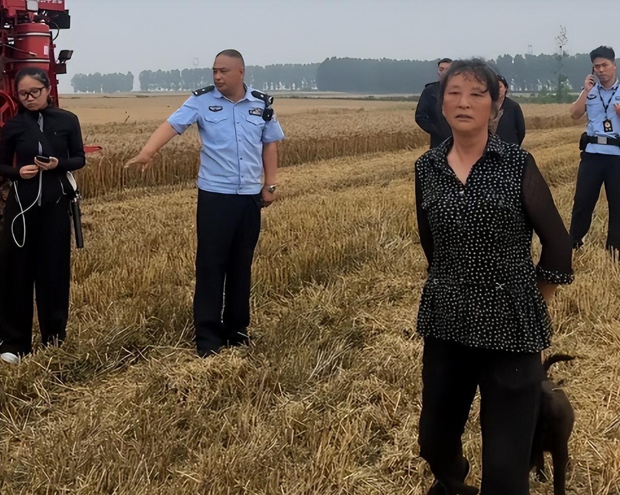 割禾热当午，汗滴禾下土，割完四赔五，大娘真威武，割四赔五，刚开始是大娘一个人的道