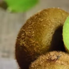 种植文案猕猴桃的种植方法：一、种植地猕猴桃喜欢生活在凉爽的环境中，生长需要充足的