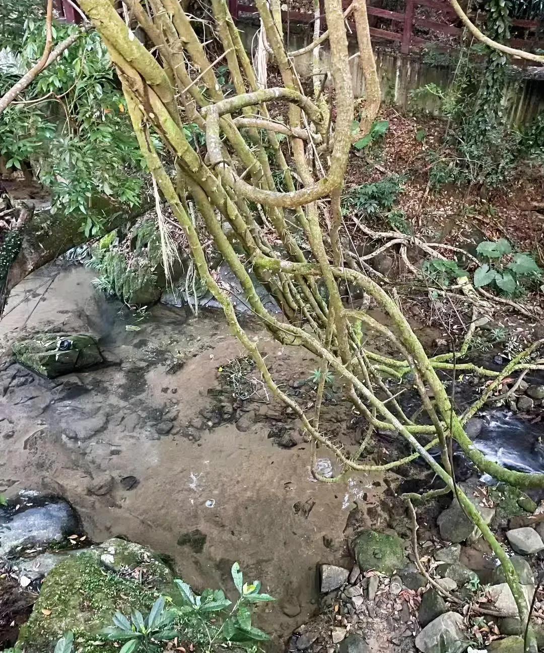 手相的特殊纹路一、通天纹（掌心纵贯线）：象征极强的直觉与领导力，易在专业领域