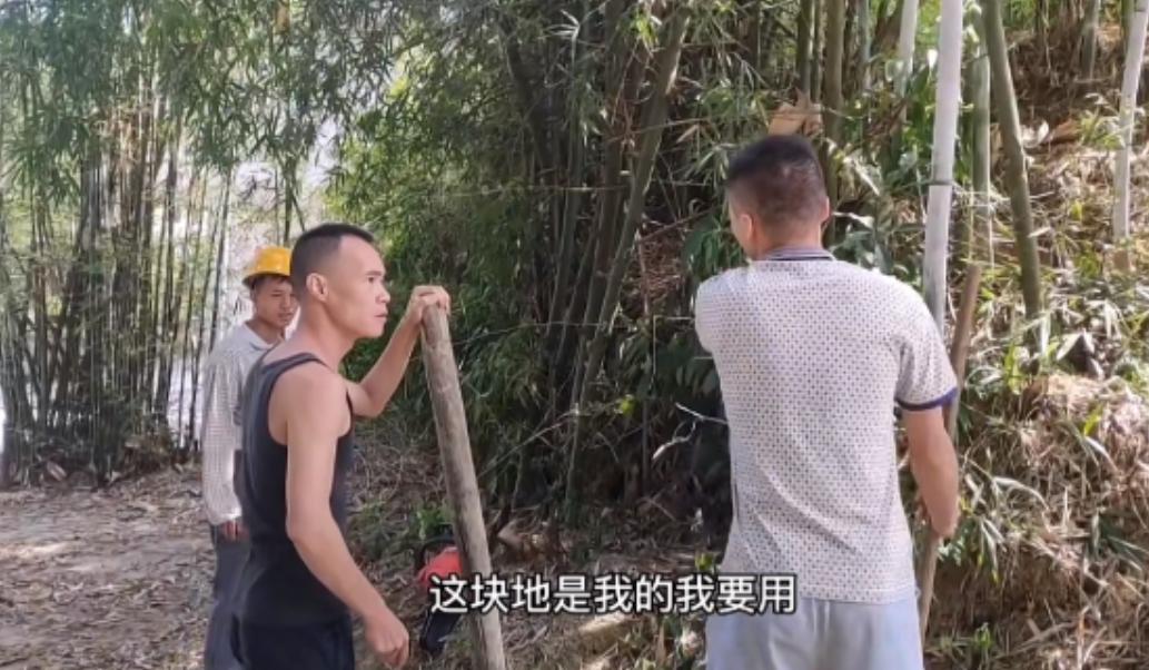 “这到底是谁的责任？”男子请工人打算把这片竹子砍掉，邻居拿着锄头跑过来阻止，怒斥