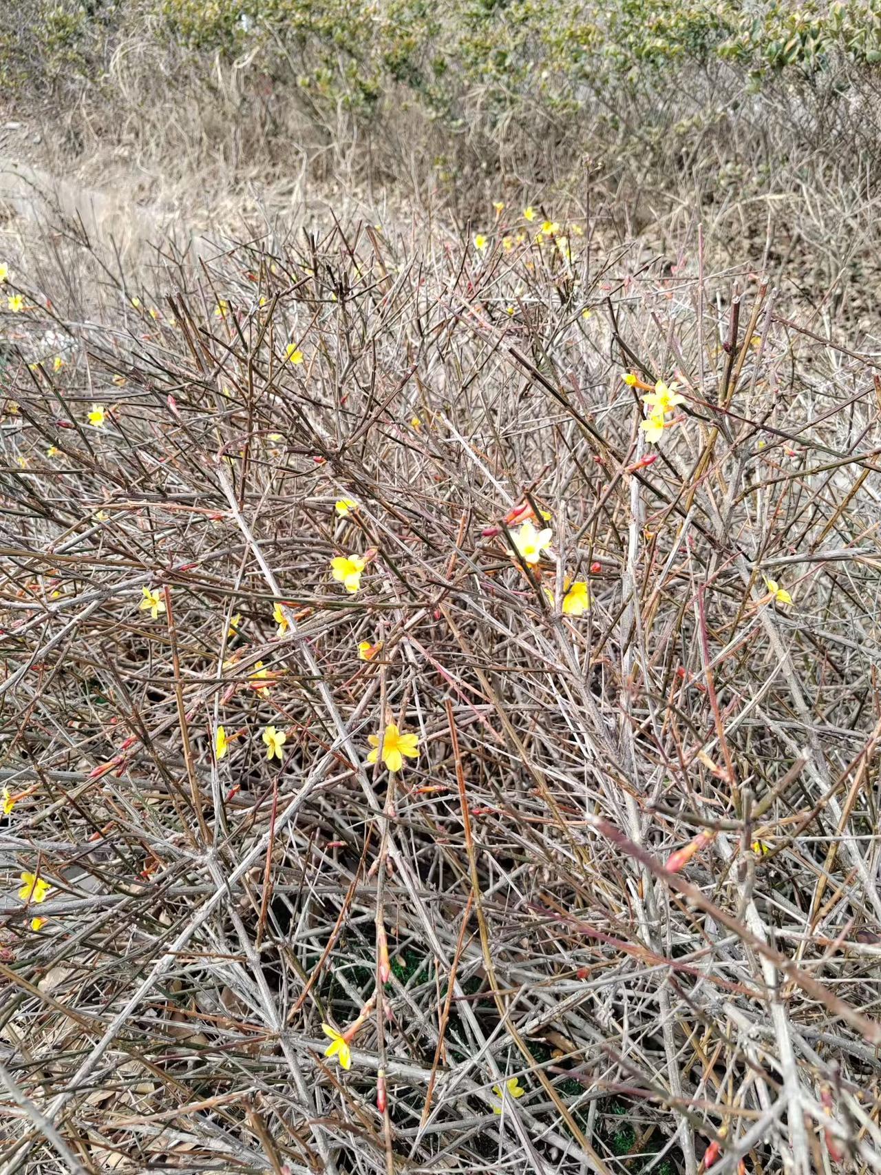 早上上班的时候又看见了小区捡垃圾的老太太。这个老太太看起来有70多岁了，不论