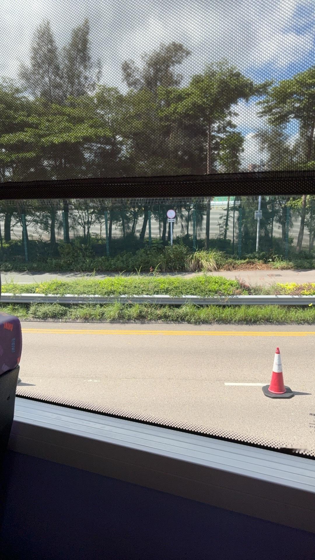 我觉得存钱更为靠谱一点。毕竟银行里面还是很稳定的，保险公司，还是没有银行来的