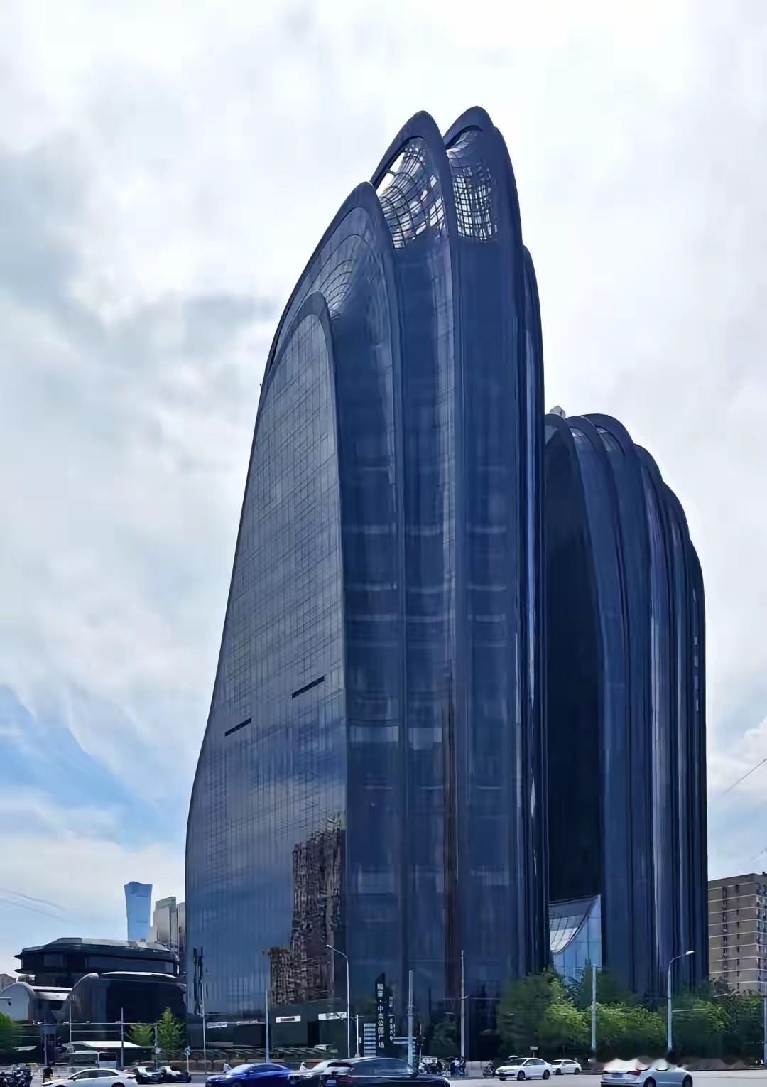 这种黑颜色的楼，第一次看见，从建筑审美角度来看的话，不管是什么样的建筑，黑颜色好