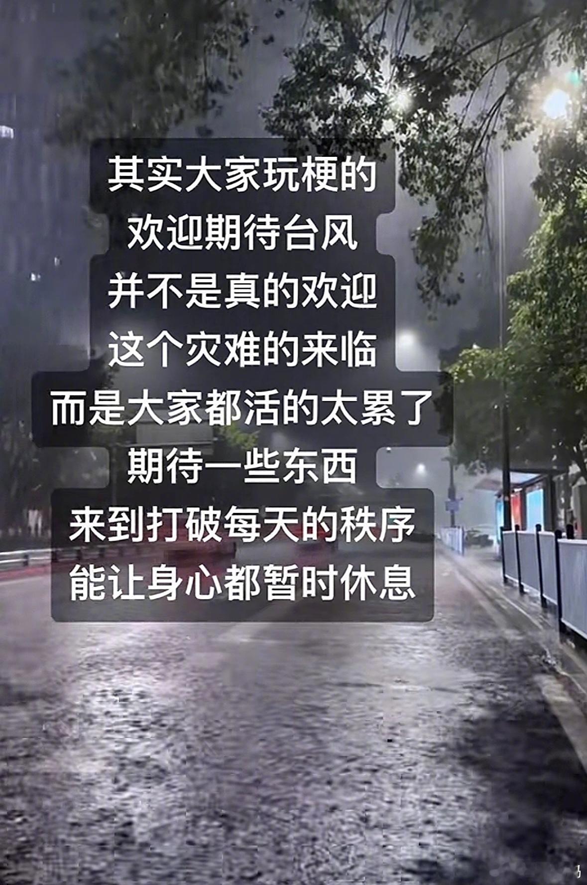 桦加沙登陆广东人们为什么如此迷恋台风天的失序感……​​​