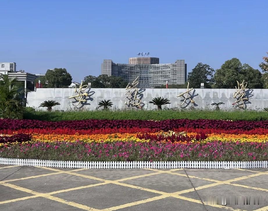 安徽大学，合肥工业大学，是对安徽省内招生计划人数最多的2所211大学提起安徽省