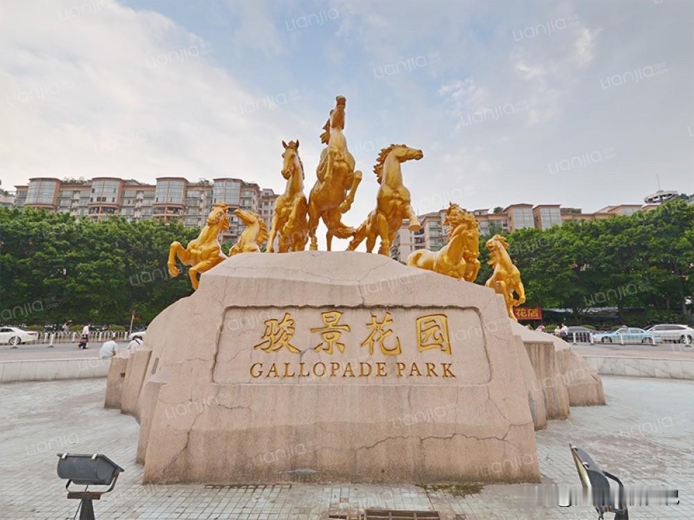 从6.5万到2.9万，骏景花园这套房四年亏掉300多万骏景花园，住天河东圃的