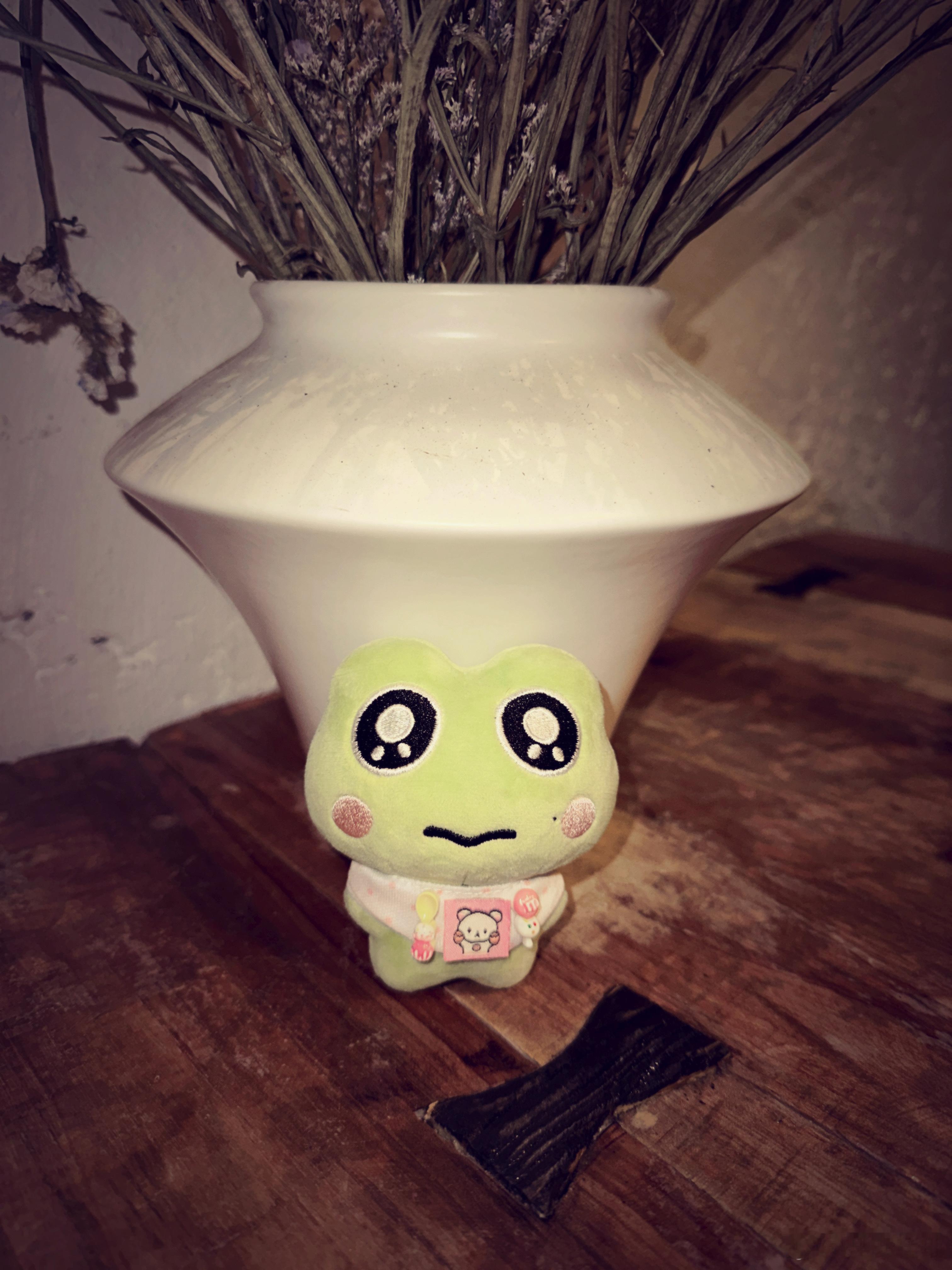 有人说了句“觉得蛙幺幺萌的请举手”结果地球变成了海胆˶˃ᵕ˂˶