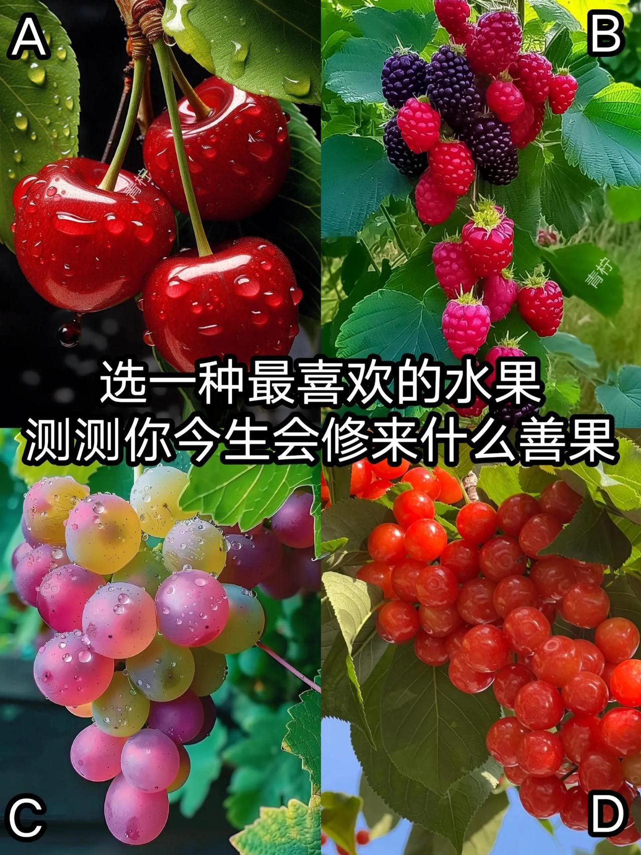 测测你今生会修来什么善果？？？选一种最喜欢的水果，看看你今生会修什么善果？？