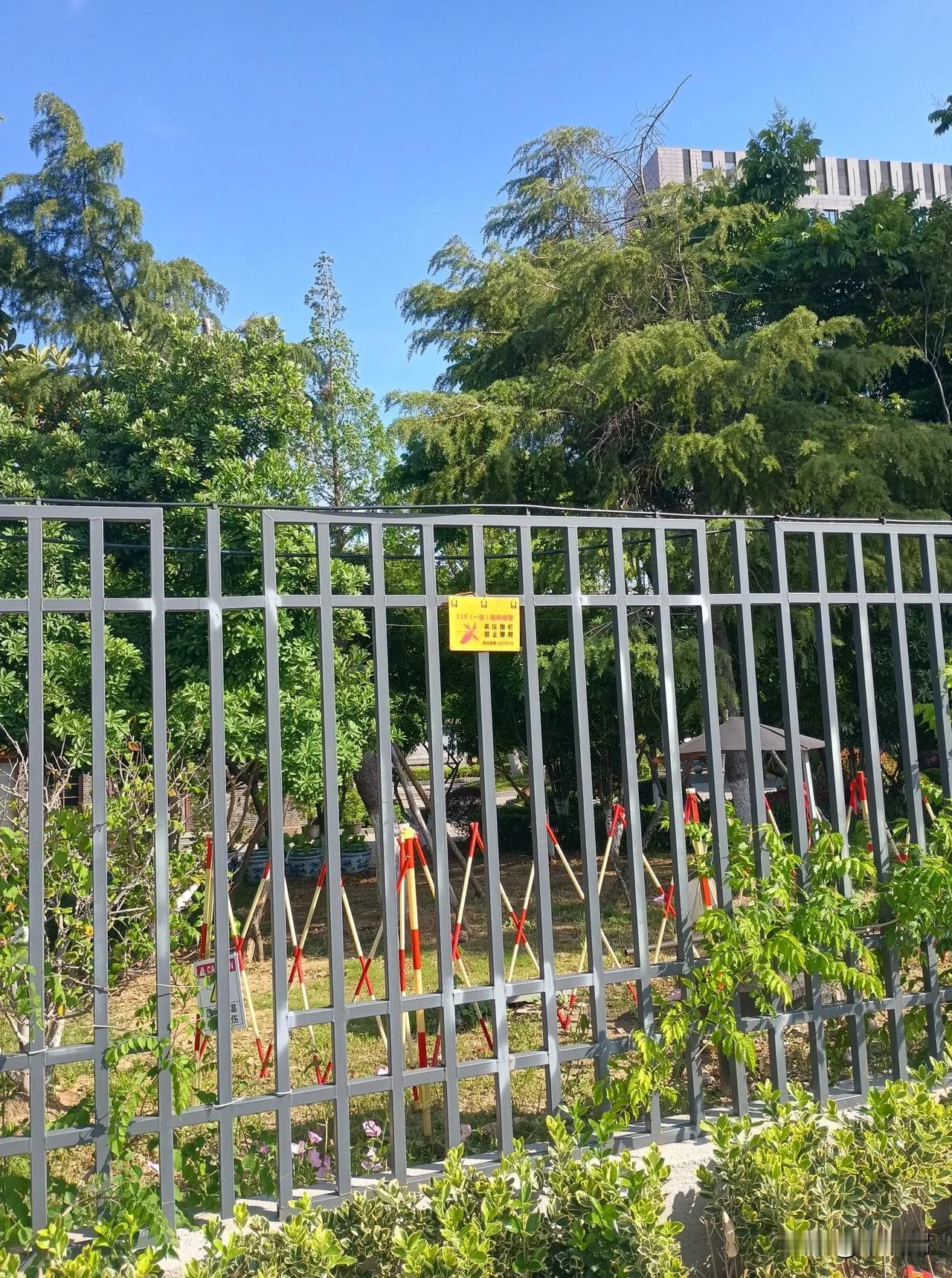 苏州，安徽颍上县冬天“柿而不采”之举值得苏州借鉴。图一，“高压危险”电疗不足惧