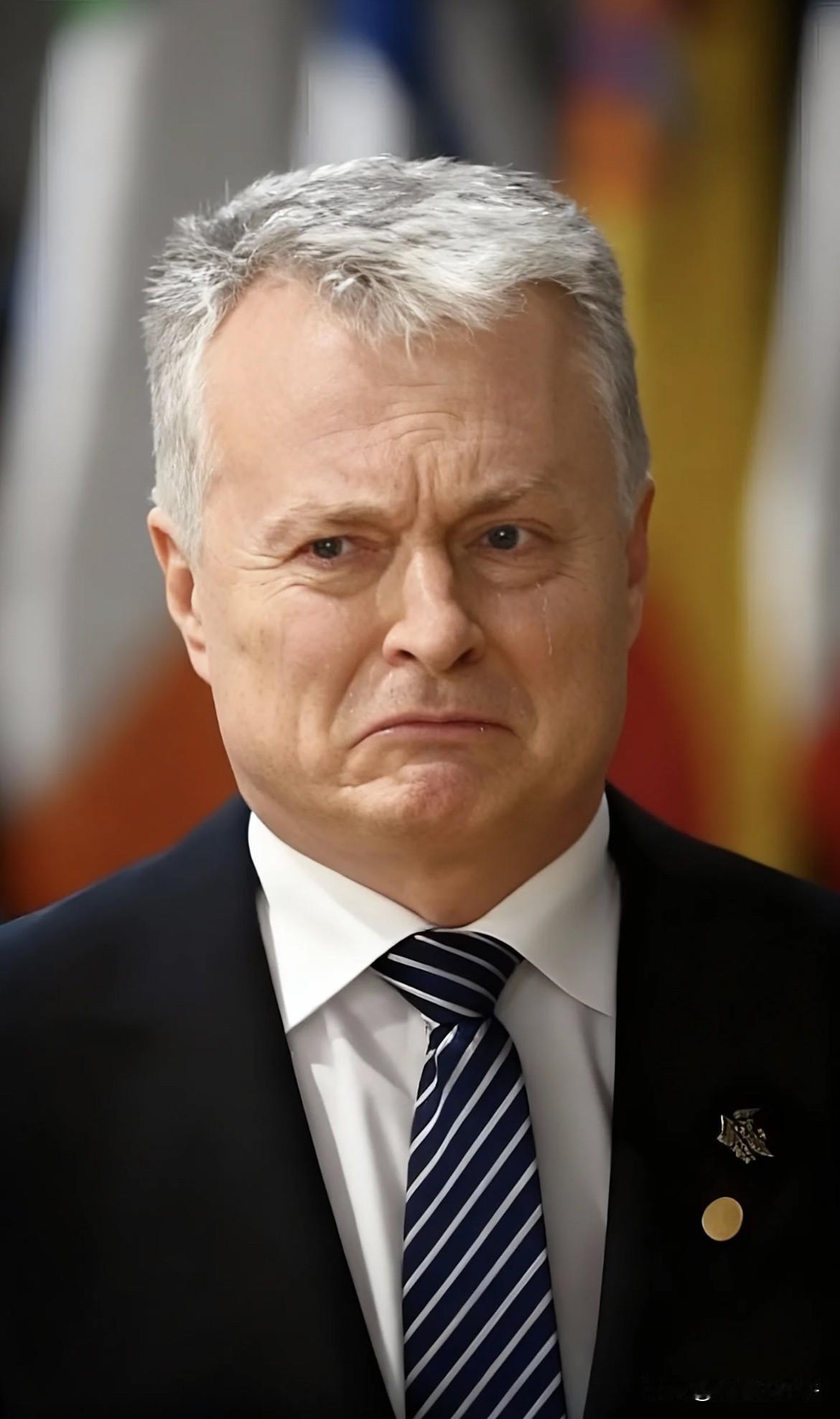 终于撑不住了，立陶宛总统宣布了，他要向东方大国道歉：自己犯了大错。当初不