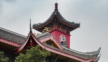 千万别被“西南”两个字骗了！西南医科大学，毕业就是“金饭碗”高考志愿填报，很多