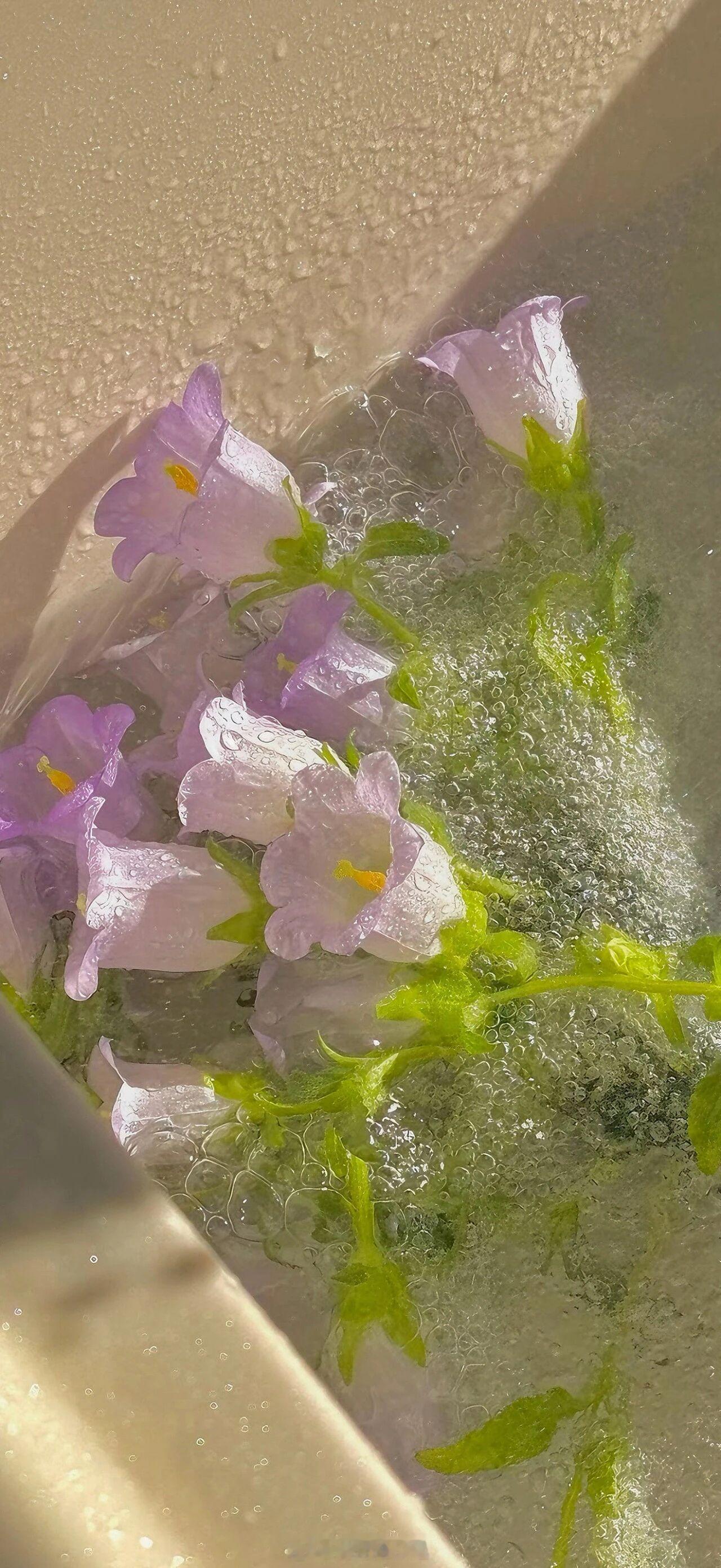 他只能扮演她深爱的那个人的一言一行，一举一动，却永远也演不来那个人的心。 ——《